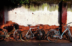 Bicycle-Chiang Mai Travel